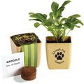 Flower Pot Set w/ Marigold Seeds